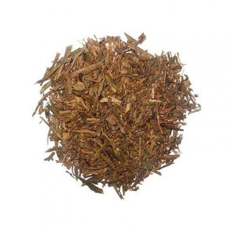 Té Bancha Houjicha Japonés BIO