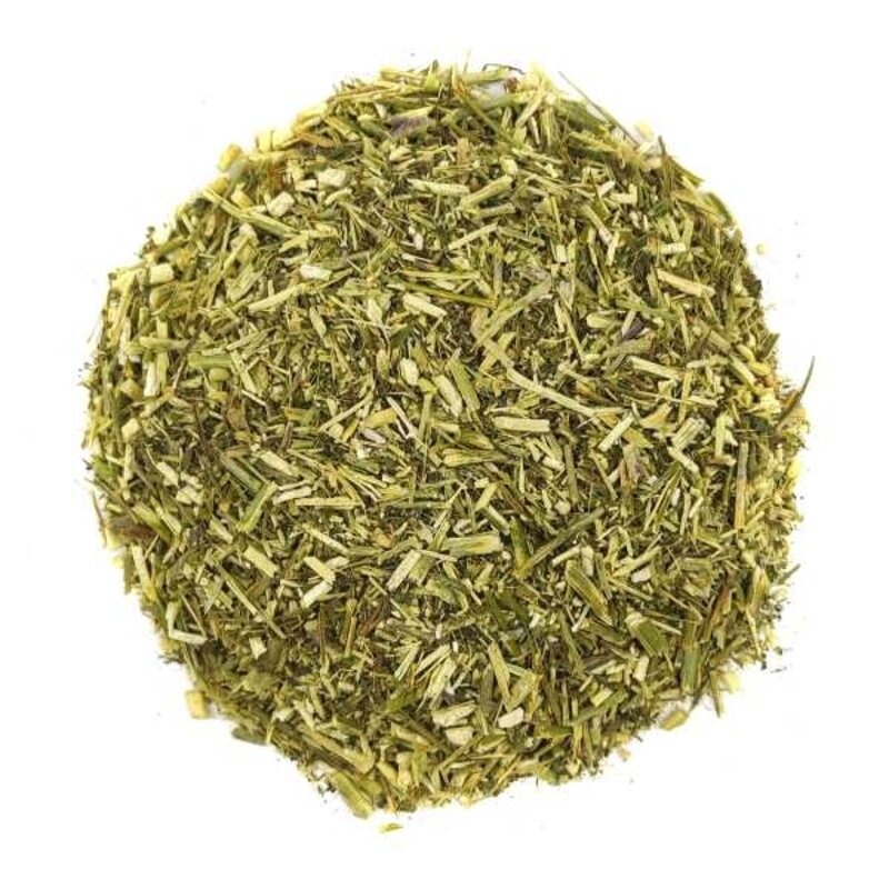 Erísimo Planta