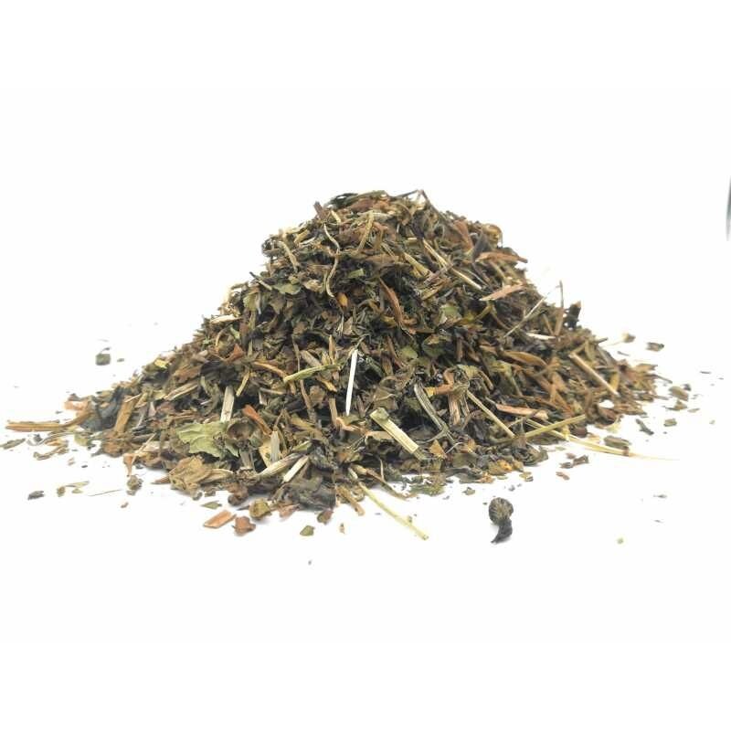DIENTE DE LEÓN