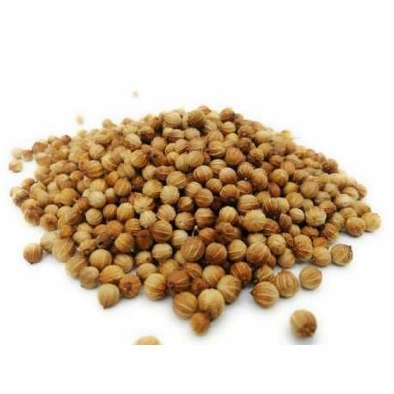 CILANTRO GRANO