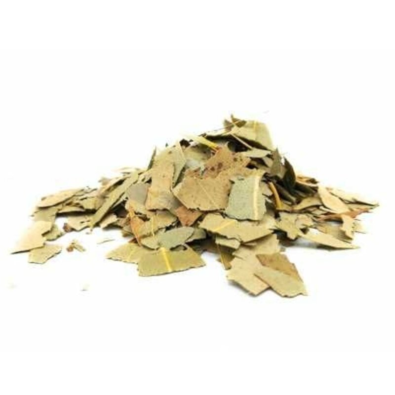 EUCALIPTO