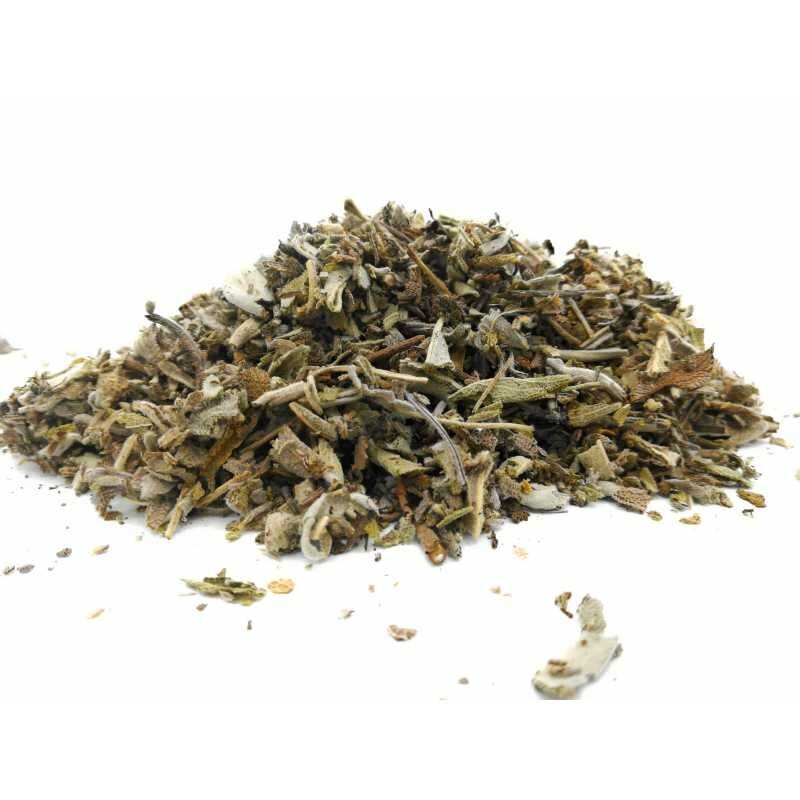 SALVIA HOJAS