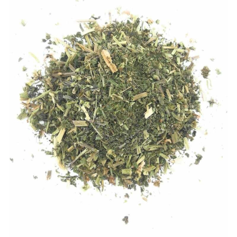 ORTIGA VERDE