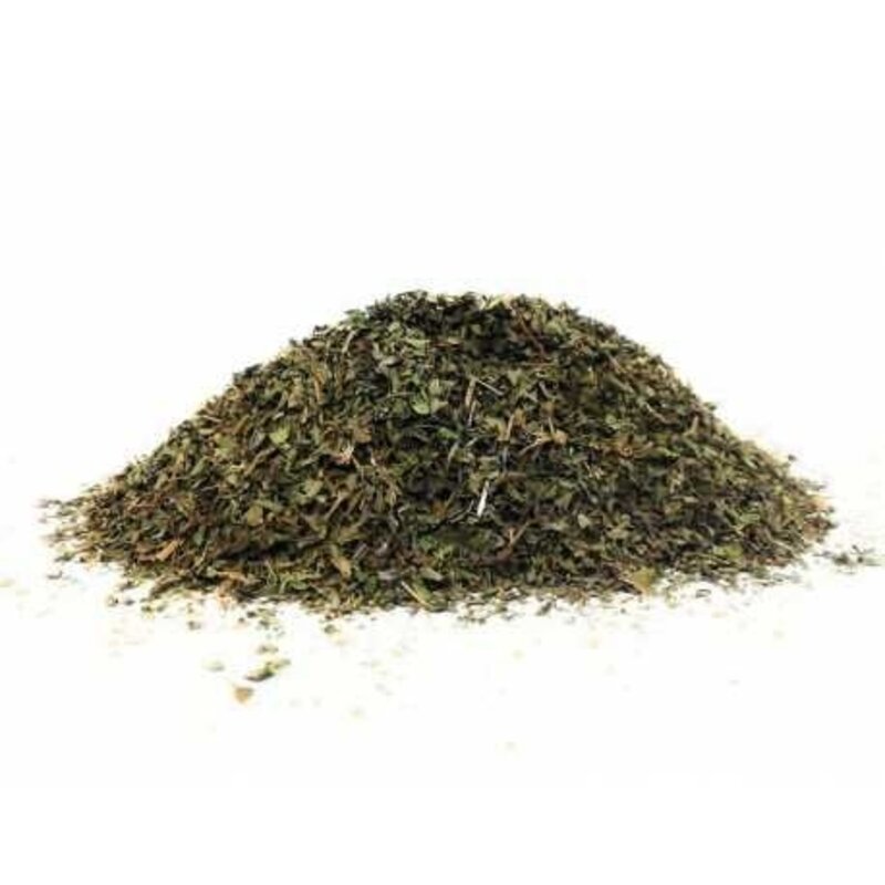 Menta piperita